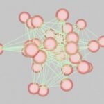 Photo Cynefin framework