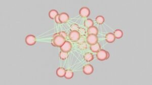 Photo Cynefin framework